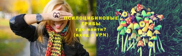 MDMA Белокуриха